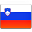 斯洛文尼亚旗